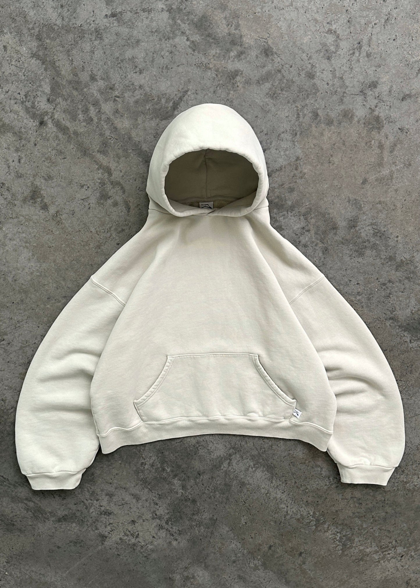 AUTUMN VIRAL HOODIE